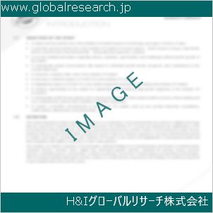 グローバルリサーチ調査資料のイメージ